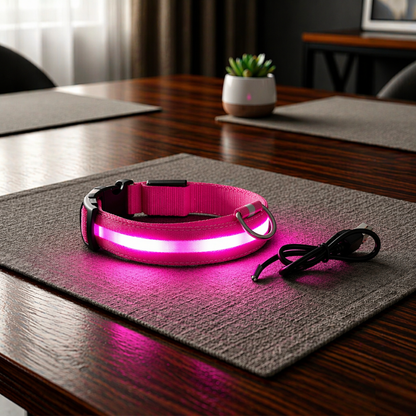 Rechargeable LED Safety Dog Collar