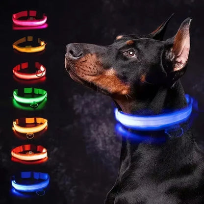 Rechargeable LED Safety Dog Collar